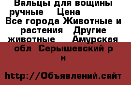 Вальцы для вощины ручные  › Цена ­ 10 000 - Все города Животные и растения » Другие животные   . Амурская обл.,Серышевский р-н